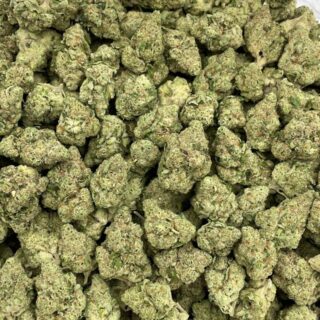 Cactus Cooler Strain