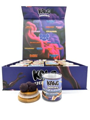 KAWS ROCKS BERRY EDITION