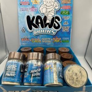 KAWS ROCKS SNOWCAP EDITION