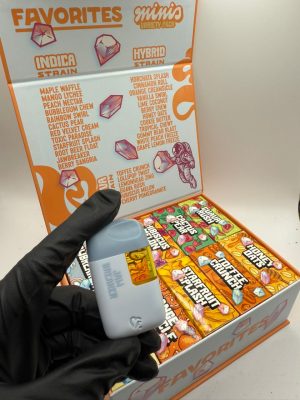 FAVORITE MINIS 2G DISPOSABLE NEW FLAVORS