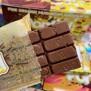 PORTAL 6G MUSHROOM CHOCOLATES  BARS